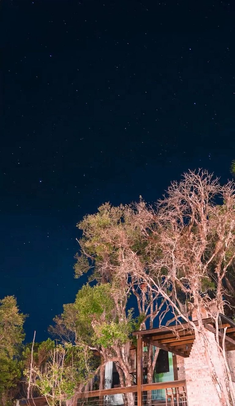 Cabana da Árvore | Hidro, lareira e deck privativo